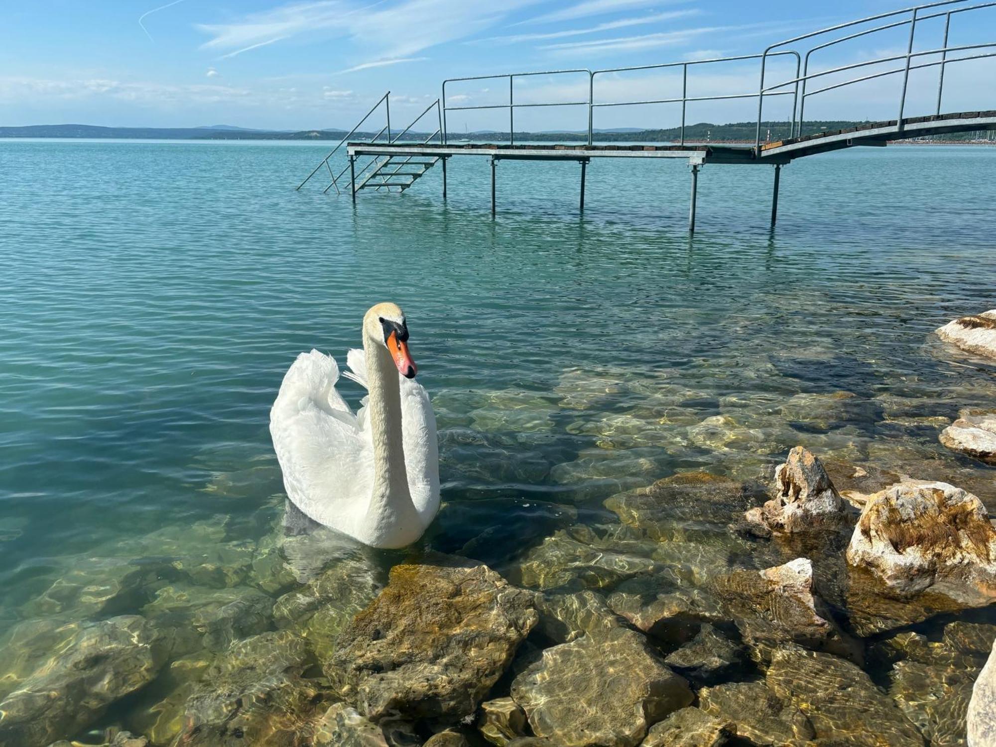Vilagos Balatonvilagos